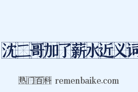 沈二哥加了薪水近义词是什么意思的图片